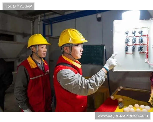 真人视讯备用平台全面保障玩家安全稳定的优质选择