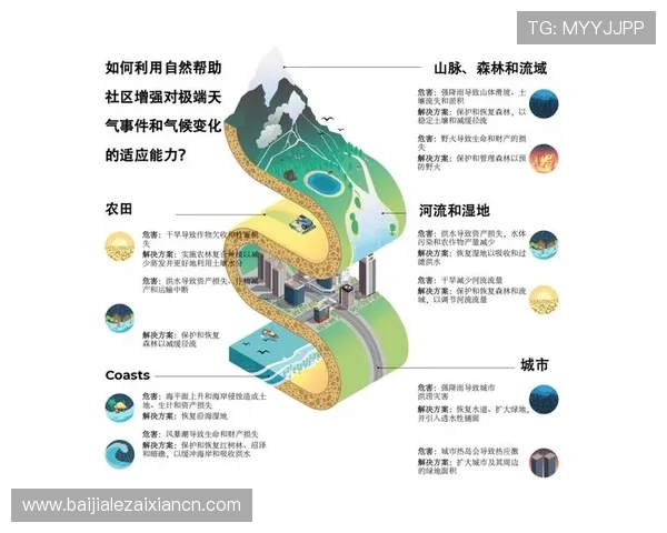 全面解析AG旗舰厅全站登录流程与常见问题解决方案指南