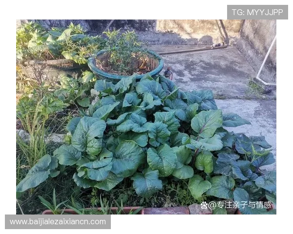 亚星百家官网网址常见问题解答，解决玩家在访问过程中遇到的各种疑问