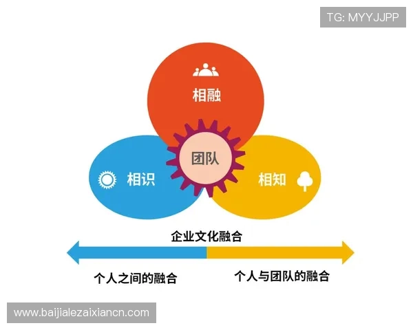 开云平台官方用户培训与技术交流活动，提升团队整体运营能力