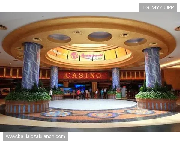 新手必看百家乐游戏教程详细步骤让你在赌场中轻松应对各种局势